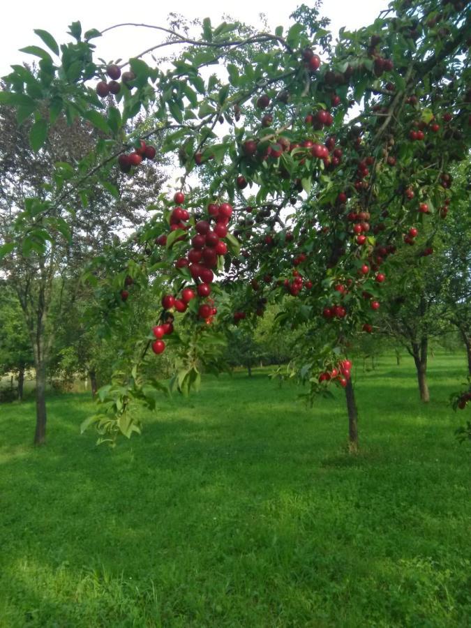 Eco Familia Otel Pojoga Dış mekan fotoğraf