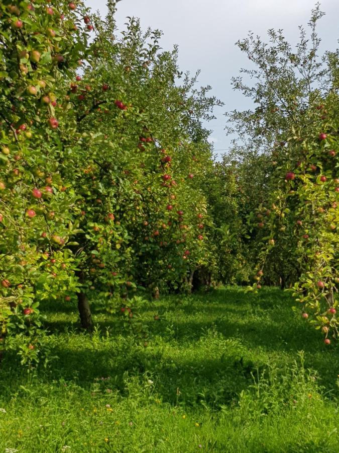 Eco Familia Otel Pojoga Dış mekan fotoğraf