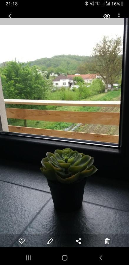 Eco Familia Otel Pojoga Dış mekan fotoğraf