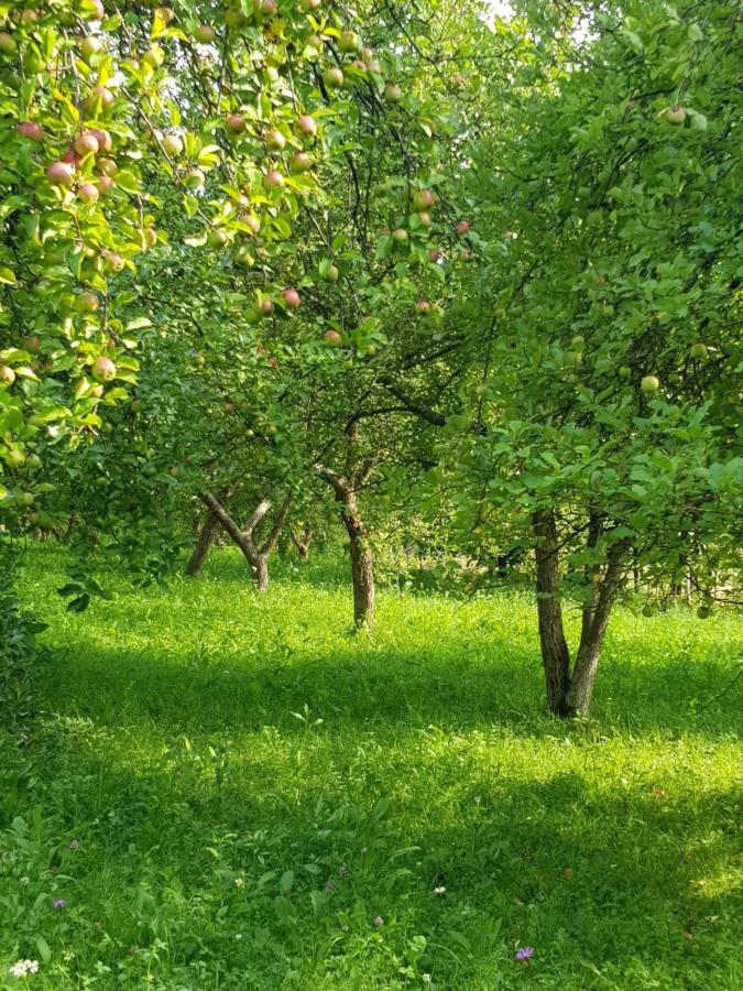 Eco Familia Otel Pojoga Dış mekan fotoğraf
