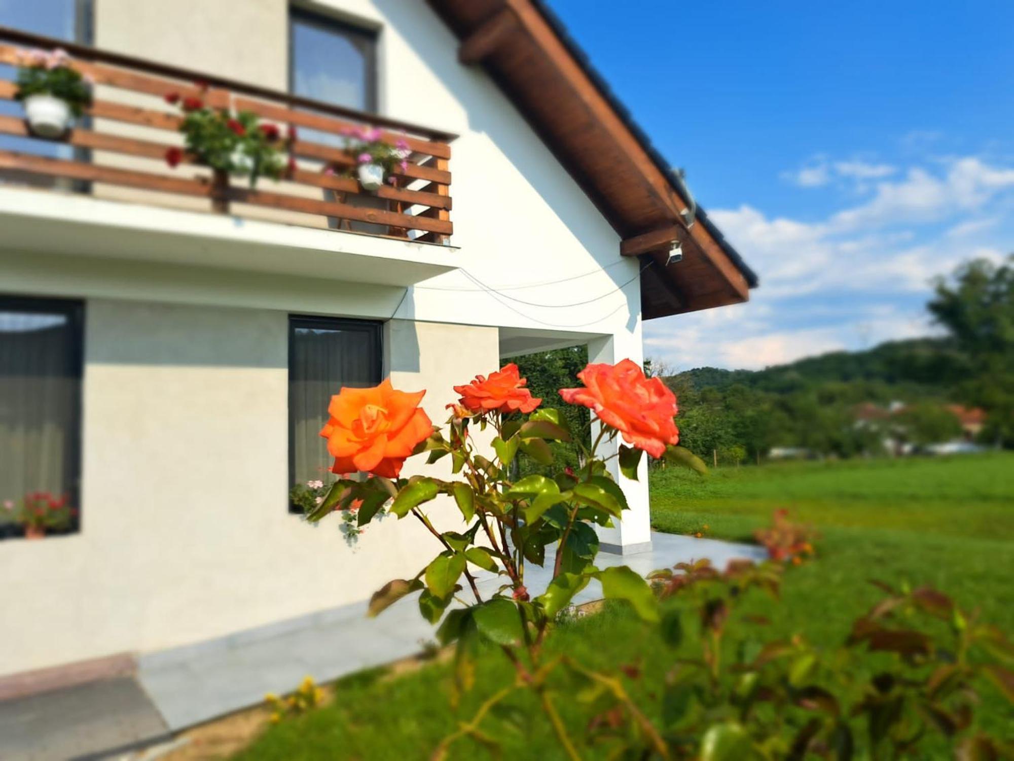 Eco Familia Otel Pojoga Dış mekan fotoğraf